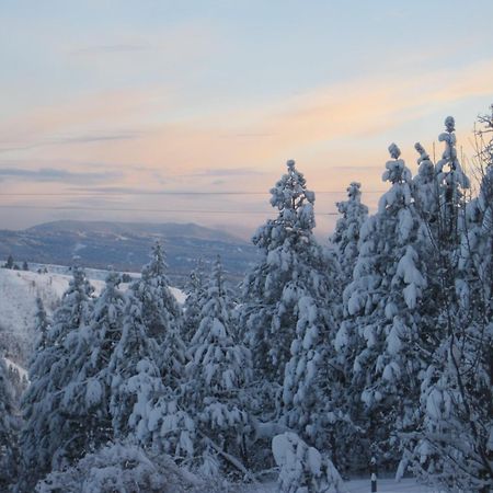 Whitebird Summit Lodge Grangeville Dış mekan fotoğraf