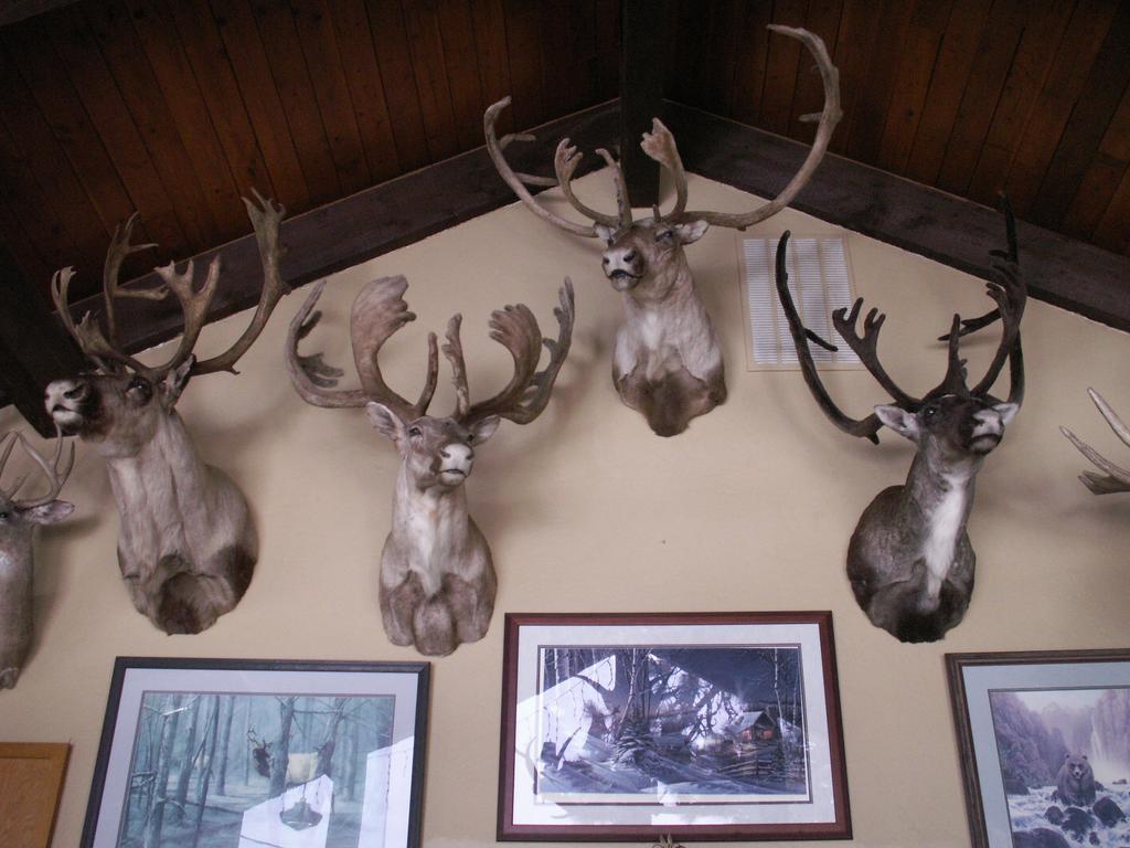 Whitebird Summit Lodge Grangeville Dış mekan fotoğraf