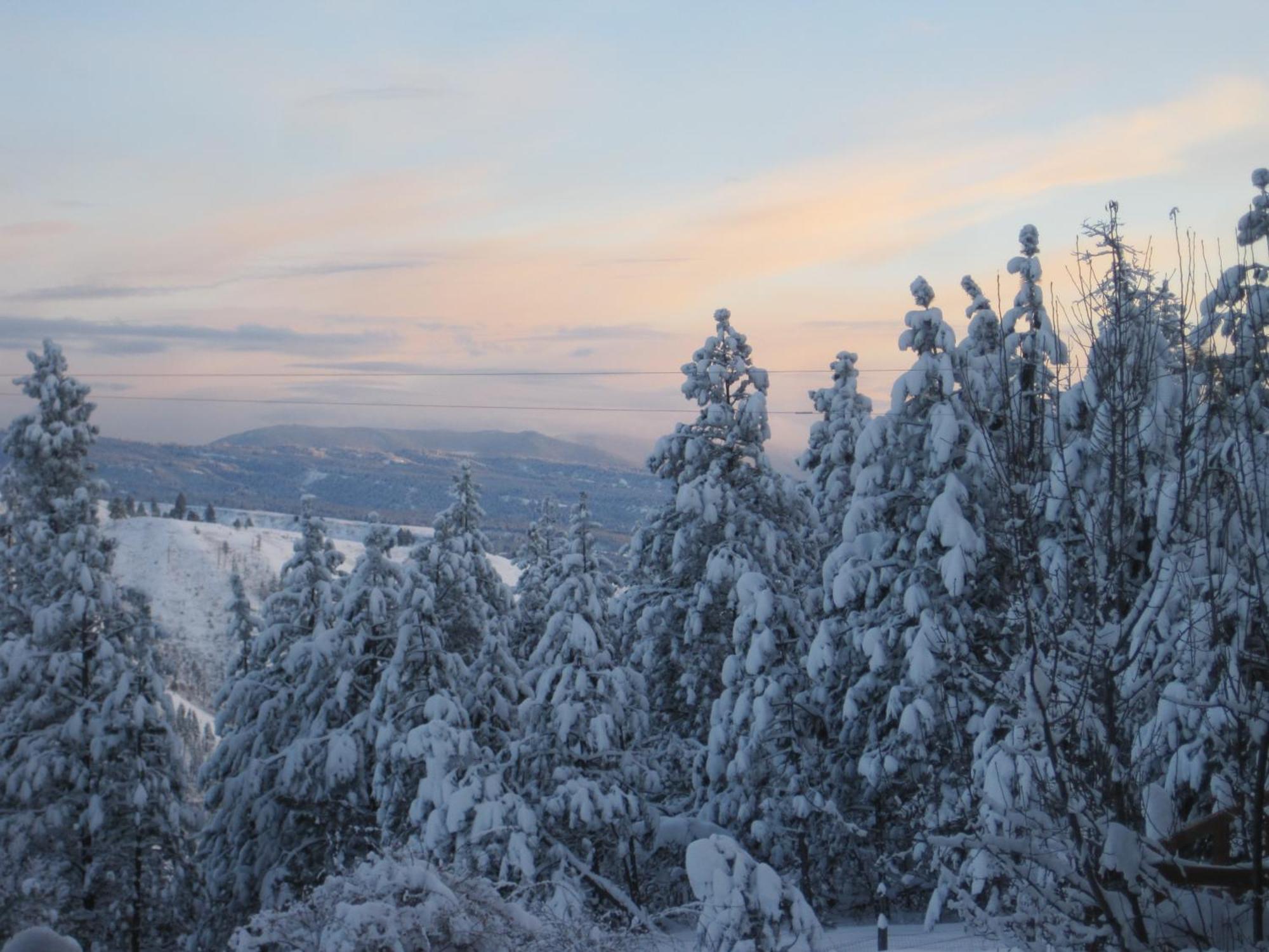Whitebird Summit Lodge Grangeville Dış mekan fotoğraf