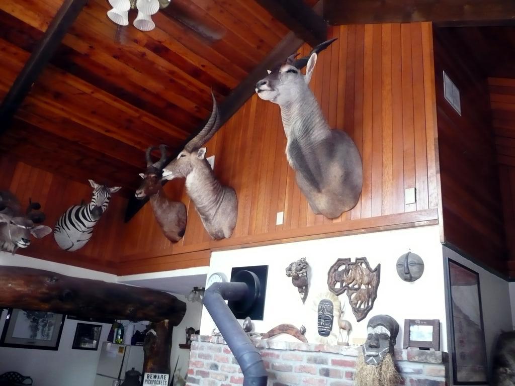 Whitebird Summit Lodge Grangeville Dış mekan fotoğraf