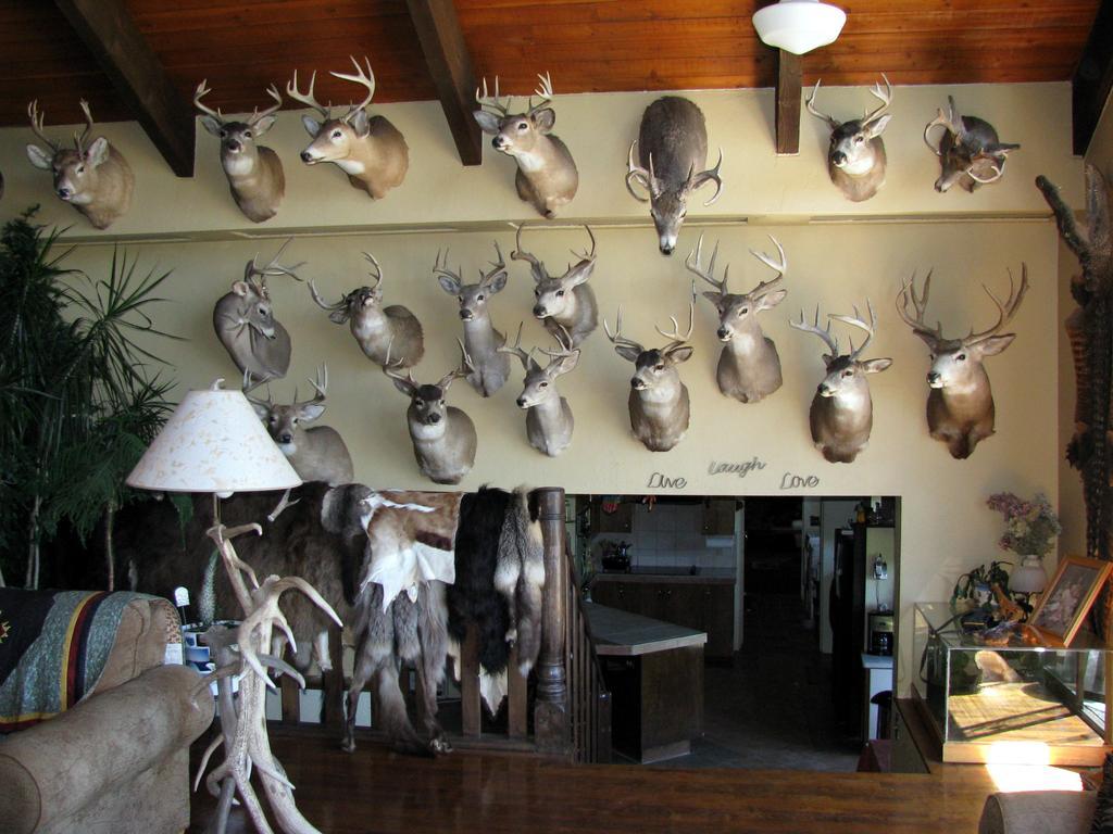 Whitebird Summit Lodge Grangeville Dış mekan fotoğraf