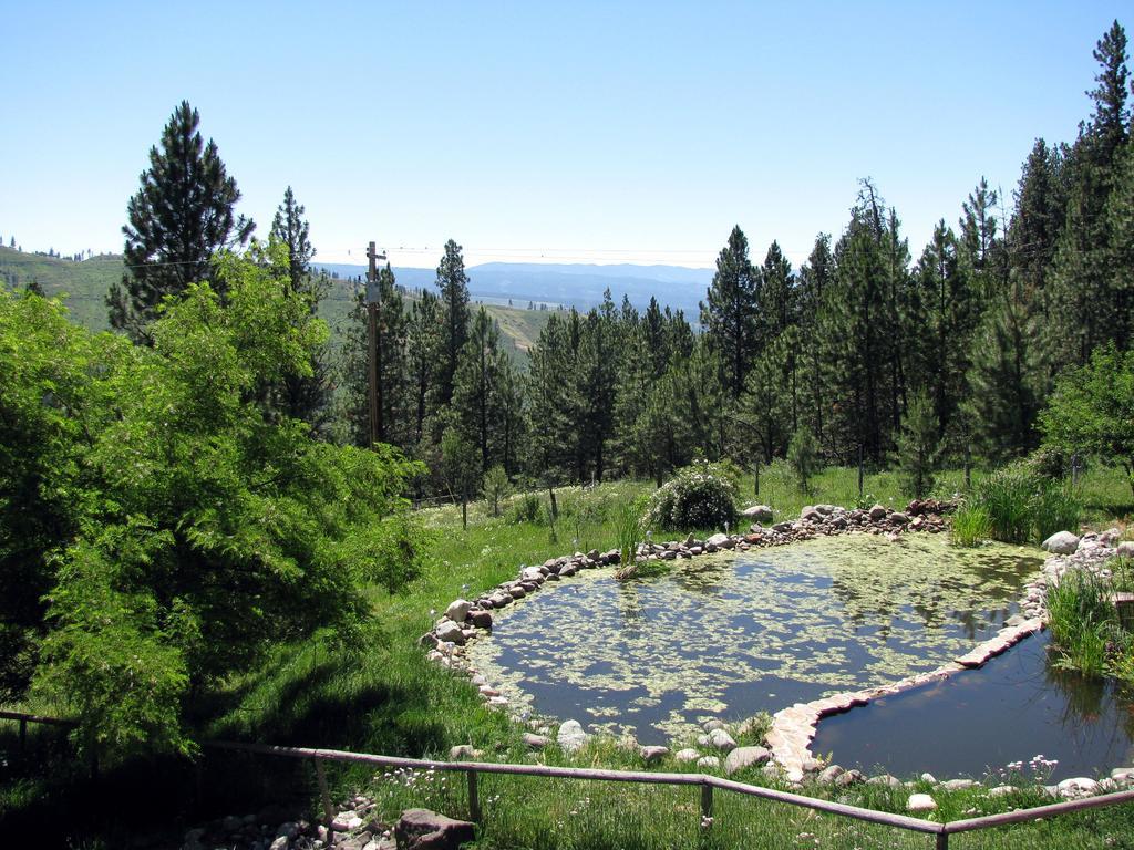 Whitebird Summit Lodge Grangeville Dış mekan fotoğraf