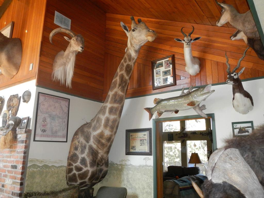 Whitebird Summit Lodge Grangeville Dış mekan fotoğraf
