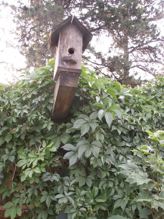 Whitebird Summit Lodge Grangeville Dış mekan fotoğraf
